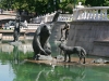 107-img_9896